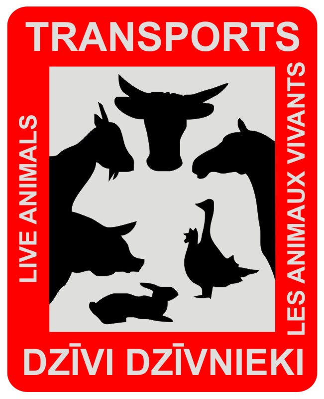 Uzlīme - Dzīvi dzīvnieki, 22 x 28 cm